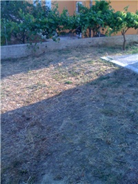 2c1a773a-Picture 048.jpg